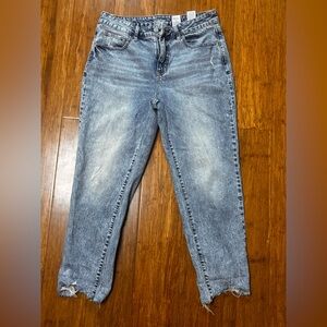 Time and Tru Mid-Rise Blue Denim Jeans